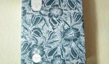 阿城精选集读后感