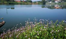 生活处处有风景