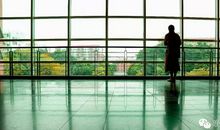 我在窗前看太阳