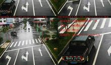 斑马线，安全线