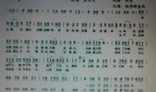 我在什么地方看太阳的作文