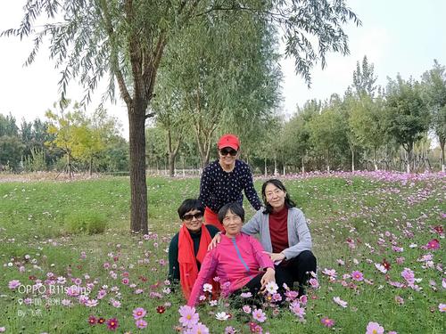 快乐的季节