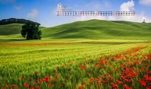 大自然的美与众不同