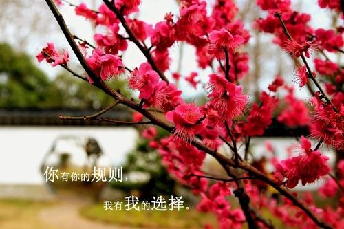 仍然是初衷