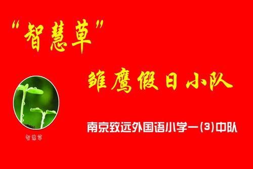 一次难忘的假期团队活动