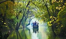 游杭州西溪湿地