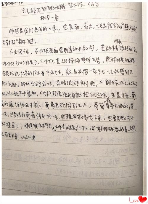 我的天堂模仿我的白草花园