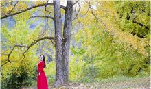 满园金黄尽带甲