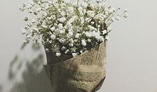 我喜欢的满天星