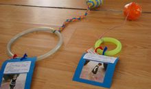 一次有趣的手工课