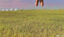 别怕，向前迈一步