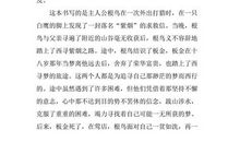 读《根鸟》有感