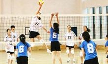 有趣的排球比赛