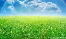 你们若安好便是晴天