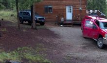 惹不起的不速之客