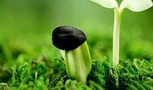 从此以后我害怕长大