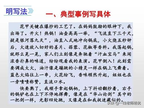 优秀的作文，我擅长600字