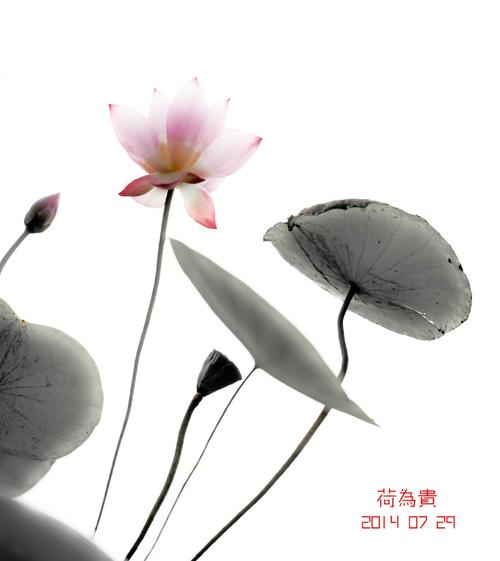 与荷兰为邻