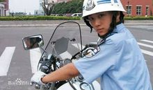 遭遇车祸的燕子