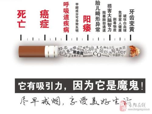 戒烟随笔：开展到最后吸烟_550字