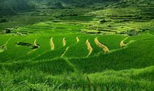 生活是一种体验