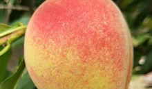 与大自然的邂逅