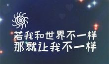 我观察过的一个深夜