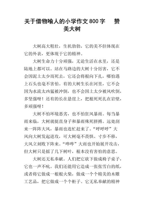 五年级