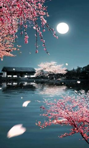 月光
