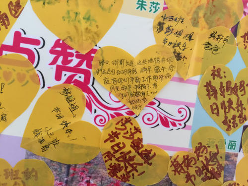 老师我想喜欢你