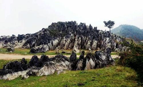 千野草田