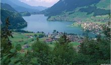 美丽的自然景观