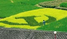 慢走在别样的风景里