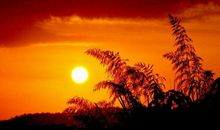 假如今天是生命的最后一天