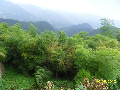 莫干山旅行记录