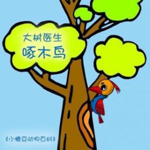 啄木鸟医生