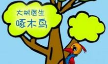啄木鸟医生