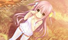 你，温暖了我的视线