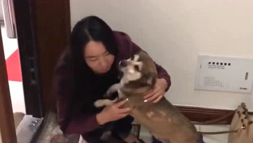 母亲的工作日