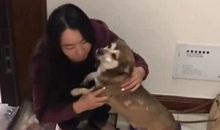 妈妈出差的日子