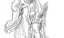 我眼中的诸葛亮