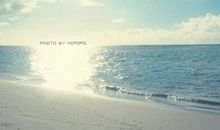 沉醉在大海的世界里