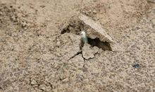 有趣的收藏经历