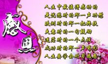 感恩从那一刻开始