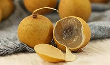 关于桂圆的作文