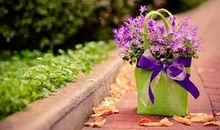 夜是一种静静的美