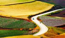 我最想去的一个地方