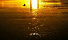 停下来才会发现