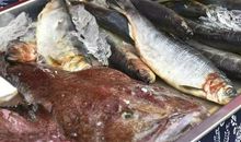 恬静祥和的年味