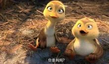 妈妈咪鸭观后感